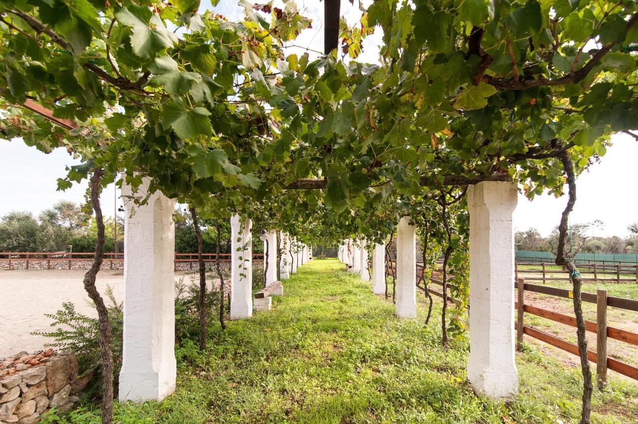 Tenuta Aphrodite Racale Ngoại thất bức ảnh
